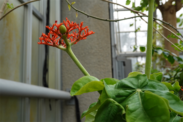 DSC00095_R