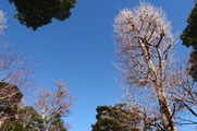 DSCF0711_R