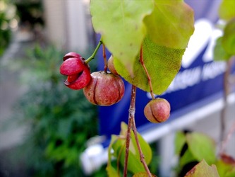DSCF5541_R