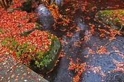 S0557134_R