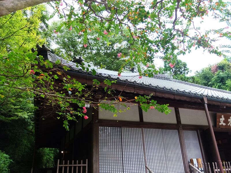 藍川京 の部屋 明月院 方丈 枯山水庭園 悟りの窓 Livedoor Blog ブログ