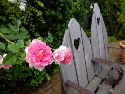 DSCF5062_R