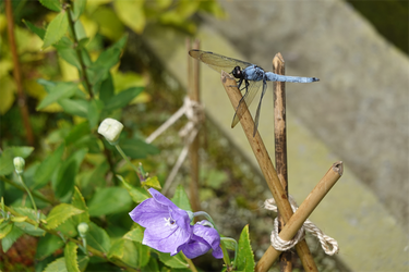DSC09172_R