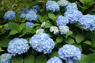DSC08057_R