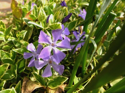 DSCF1640_R