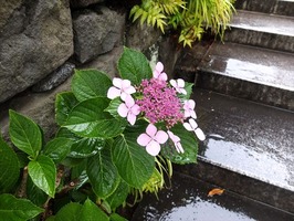 DSCF3389_R