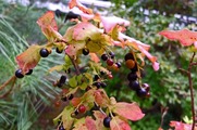 DSCF6018_R