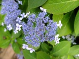 DSCF2241_R