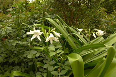 DSC07048_R