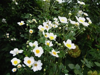 DSCF6138_R