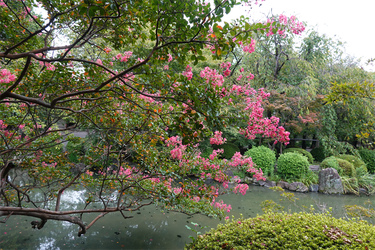 DSC09662_R