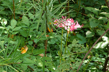 DSC09047_R
