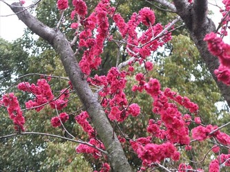 DSCF8658_R