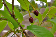 DSCF3055_R