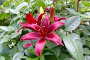 DSCF4397_R