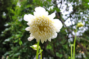 DSCF3679_R