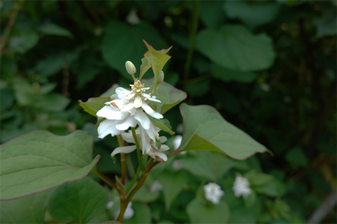 DSC08178_R