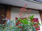DSCF4714_R