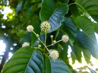 DSCF1427_R