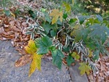 DSCF5358_R
