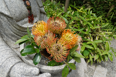DSC09143_R