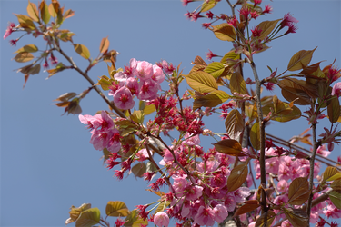 DSC06412_R