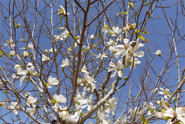 DSC06214_R