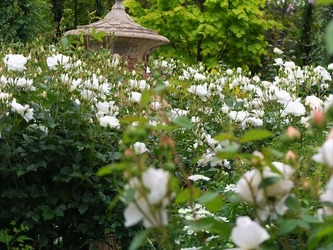 DSCF0327_R