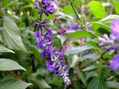 DSCF9772_R