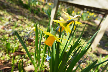 DSC00298_R