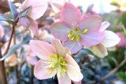 DSCF9609_R