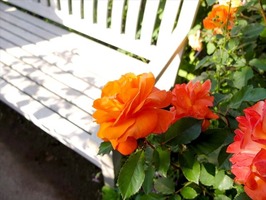 DSCF2573_R