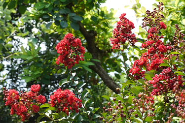 DSC08854_R
