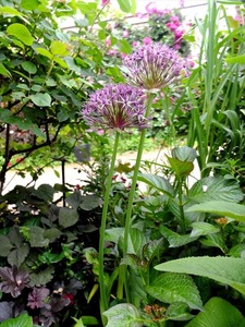 DSCF2818_R