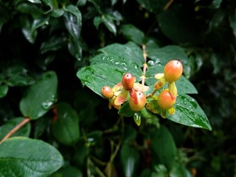 DSC01252_R