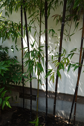 DSC07688_R