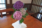 DSCF4633_R