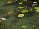 DSCF3758_R