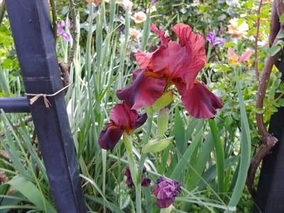 DSCF2858_R
