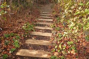 DSCF0407_R