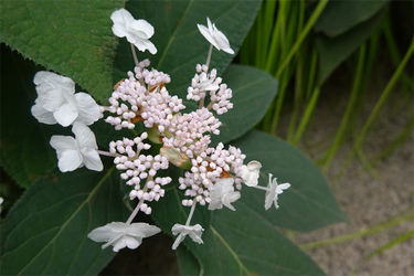 DSC09272_R