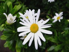 DSCF9790_R