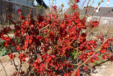 DSC05865_R
