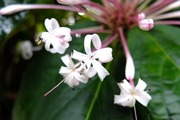 DSCF9242_R