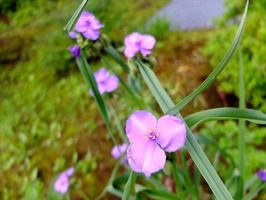 DSCF1053_R