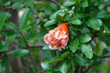 DSC08135_R