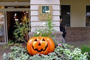 DSCF6338_R