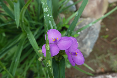 DSC09089_R