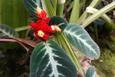 DSC00090_R