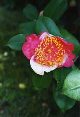 64cb071e.jpg